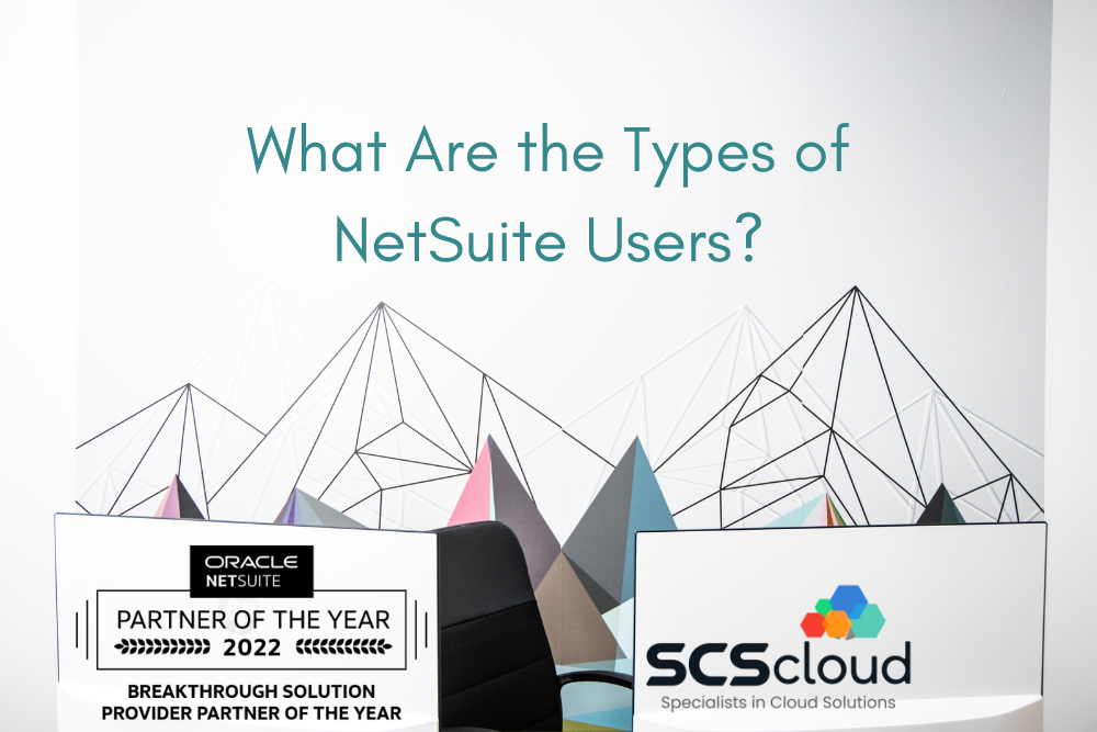 Types Of NetSuite Users | SCS Cloud